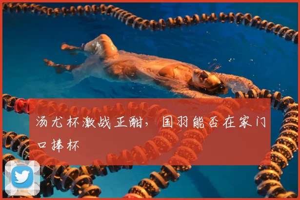 汤尤杯激战正酣，国羽能否在家门口捧杯