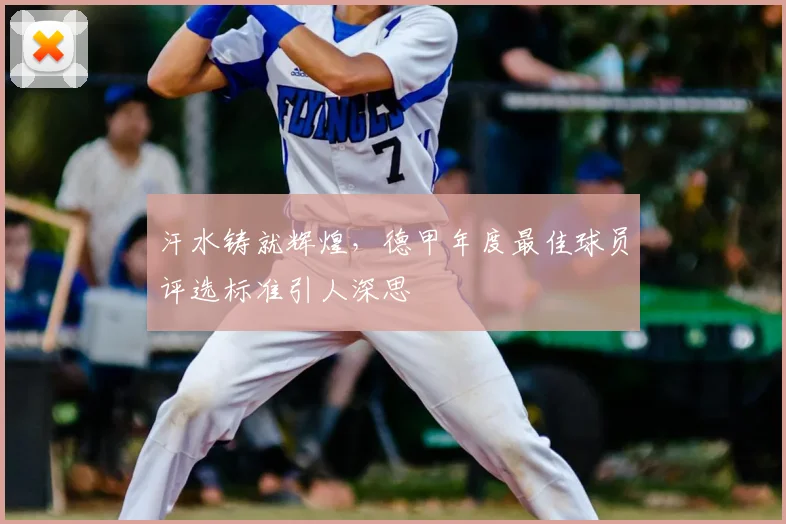 汗水铸就辉煌，德甲年度最佳球员评选标准引人深思